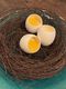 @sophiefarrahwrites - Feast over Flame 6.JPG