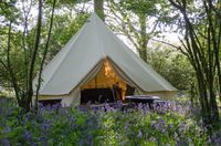 2knepp-wildland-safaris copy.jpg