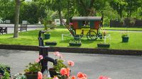 AldersteadHeathCaravanClubsite copy.jpg