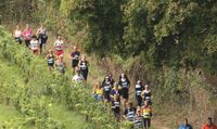 bacchus half marathon.jpg