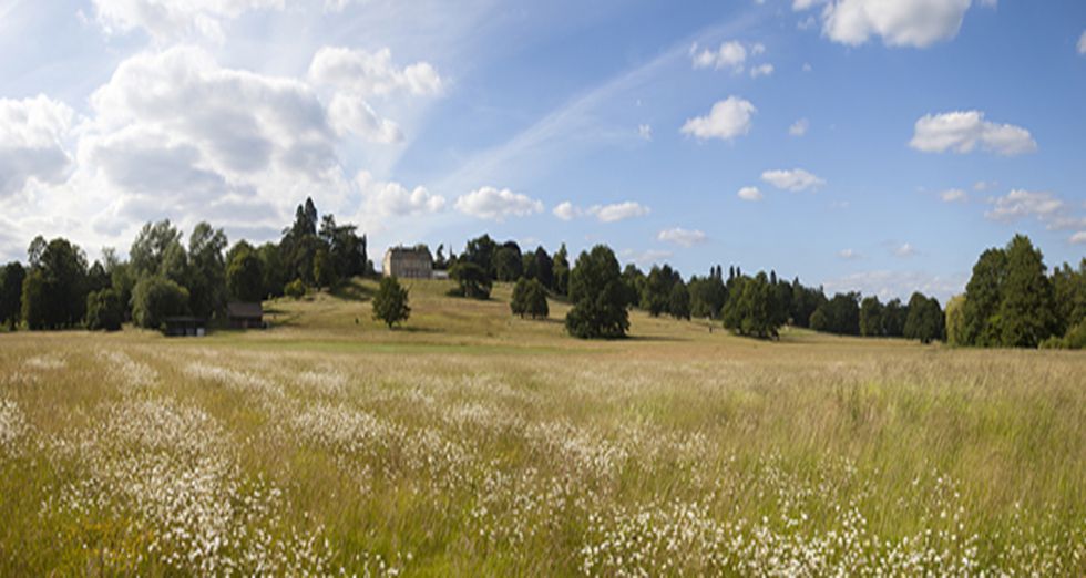 banner-home (1).jpg