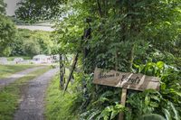 beryls-campsite-south-west-england-devon-large.jpg