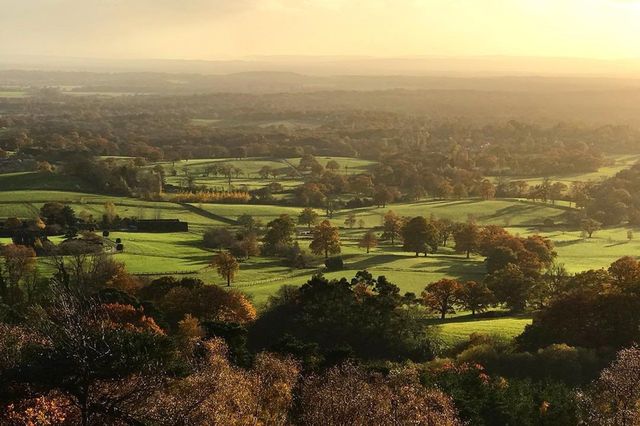 best-views-surrey.jpg