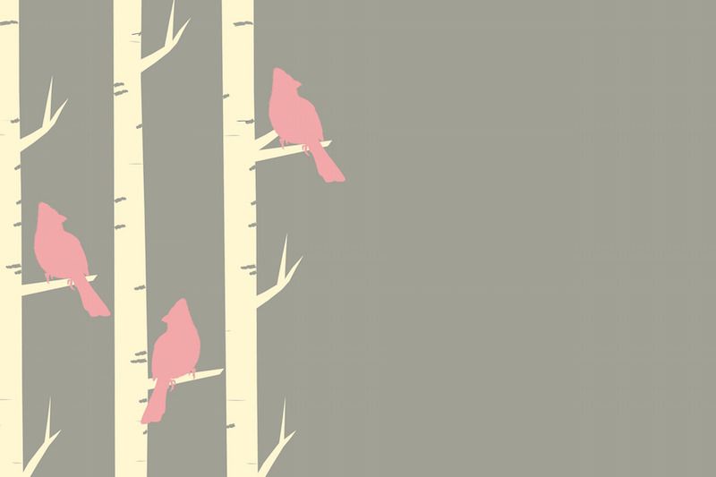 birds-1283829_1920.jpg