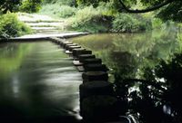 boxhillsteppingstoneswalk54152.jpg