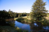 chiddingfold-golf-club.jpg