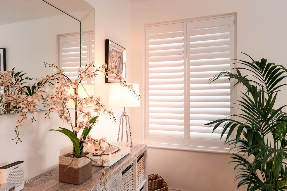 Copy of Just Shutters-0465.jpg