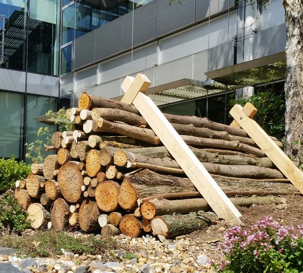 Credit Conservation and Access_Habitat Stack Toyota.jpg