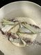 croaker at TiaTia.jpg