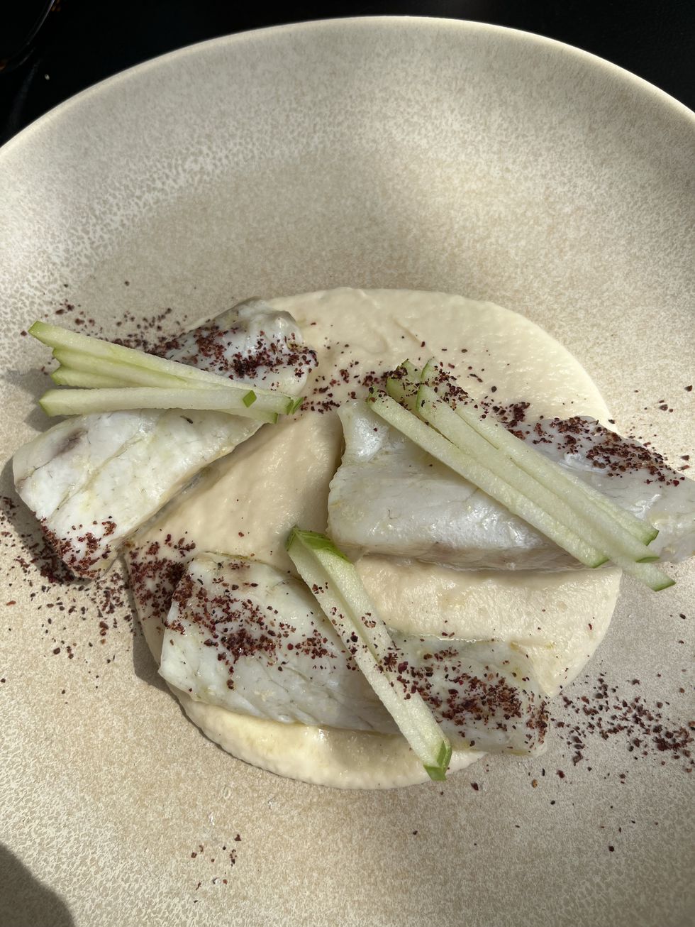 croaker at TiaTia.jpg