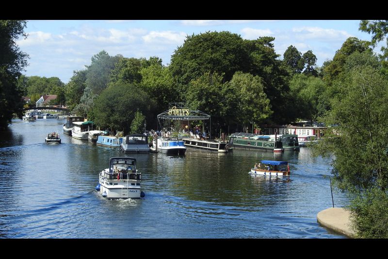 D'Oyle Carte Island Weybridge