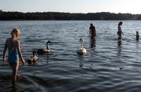 frensham swim.jpeg