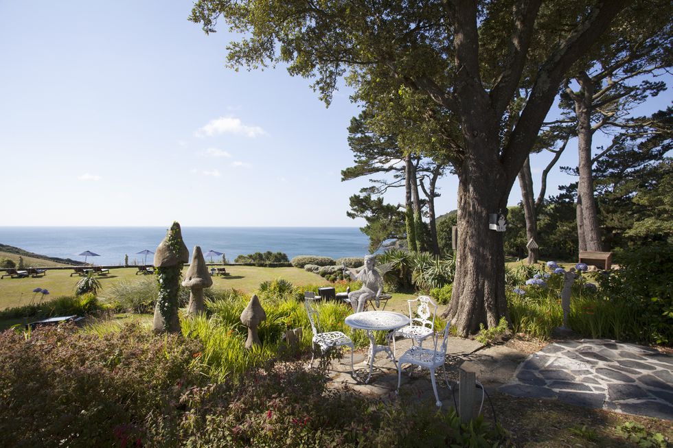 gardens-talland-bay-hotel-2.jpg