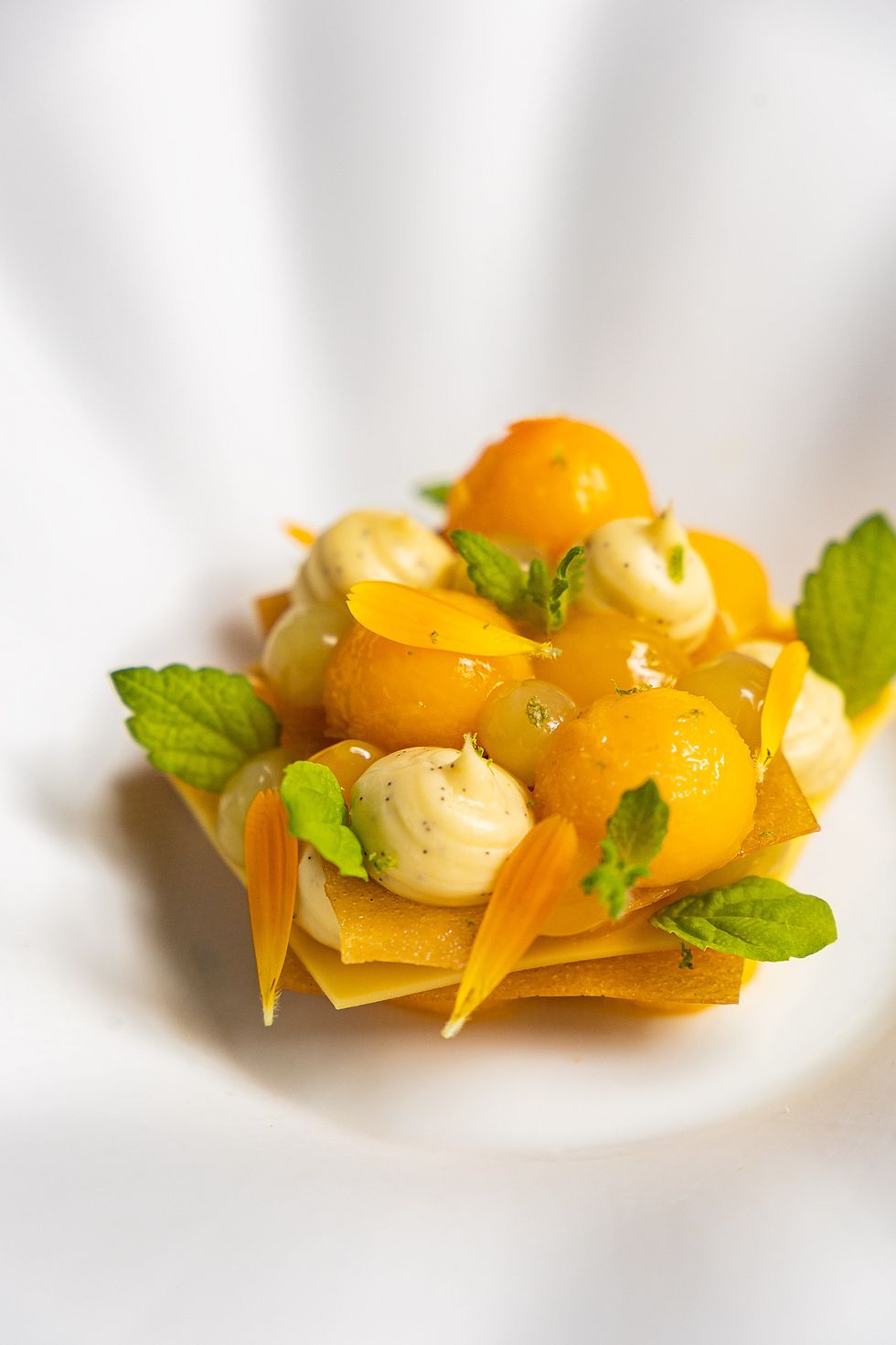 GRR_1890_SEPTEMBER_2023_FOOD_DESSERT_SICILIAN_MANGO_AND_PASSIONFRUIT_MILLE_FEUILLE_5_caj0oy.jpg