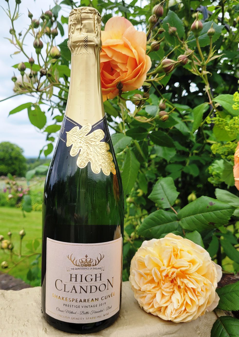 High Clandon Shakespearean Cuvée 2019 Prestige Vintage.jpg