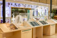 Inside RHS Hilltop.jpg
