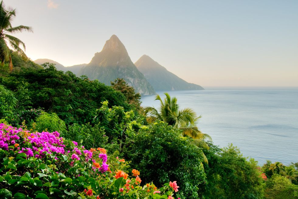iStock-155418760.jpg