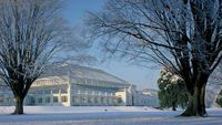 Kew Gardens