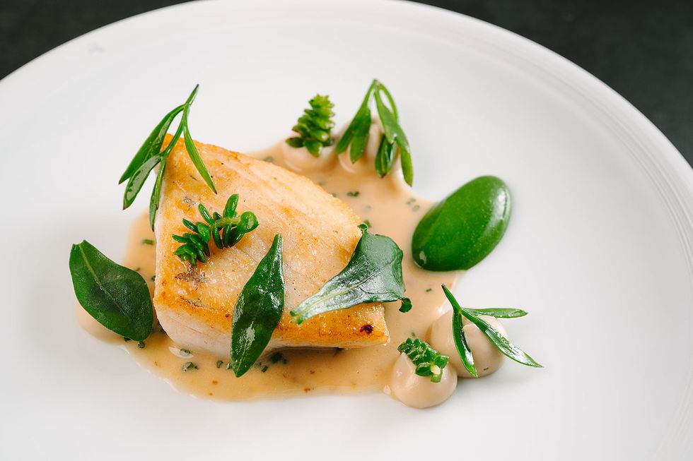 Latymer Food image.jpg