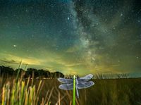 Macro photography exhibition_credit Andrew Fusek Peters (2).jpg