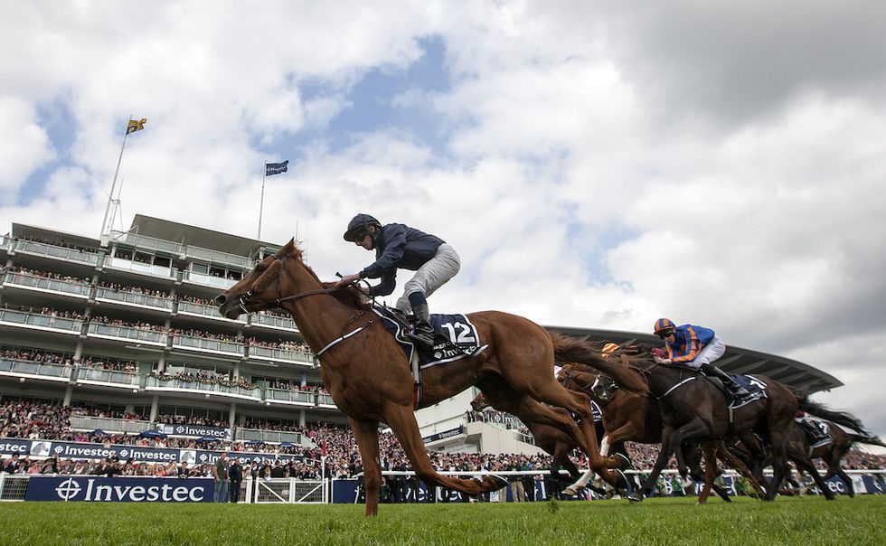 michel horse shot2.jpg