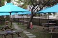 Molesey Lock Cafe