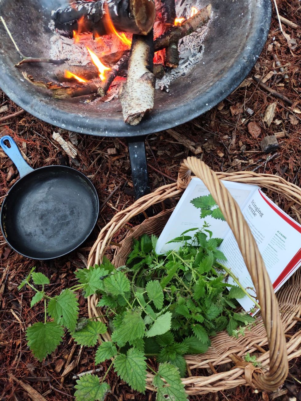 nettles - Wetlands Wellbeing Workshop.jpg