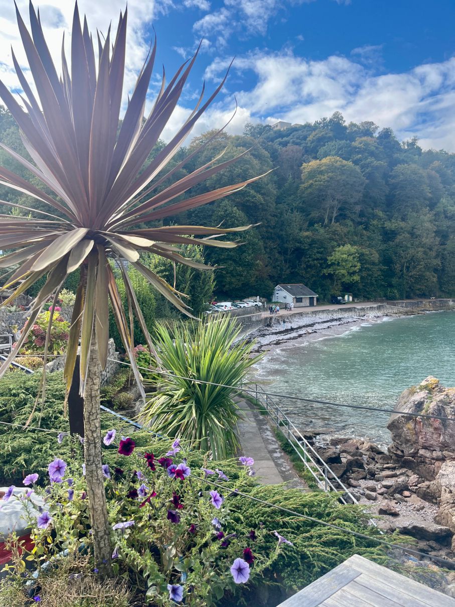 oddicombe bay.jpg