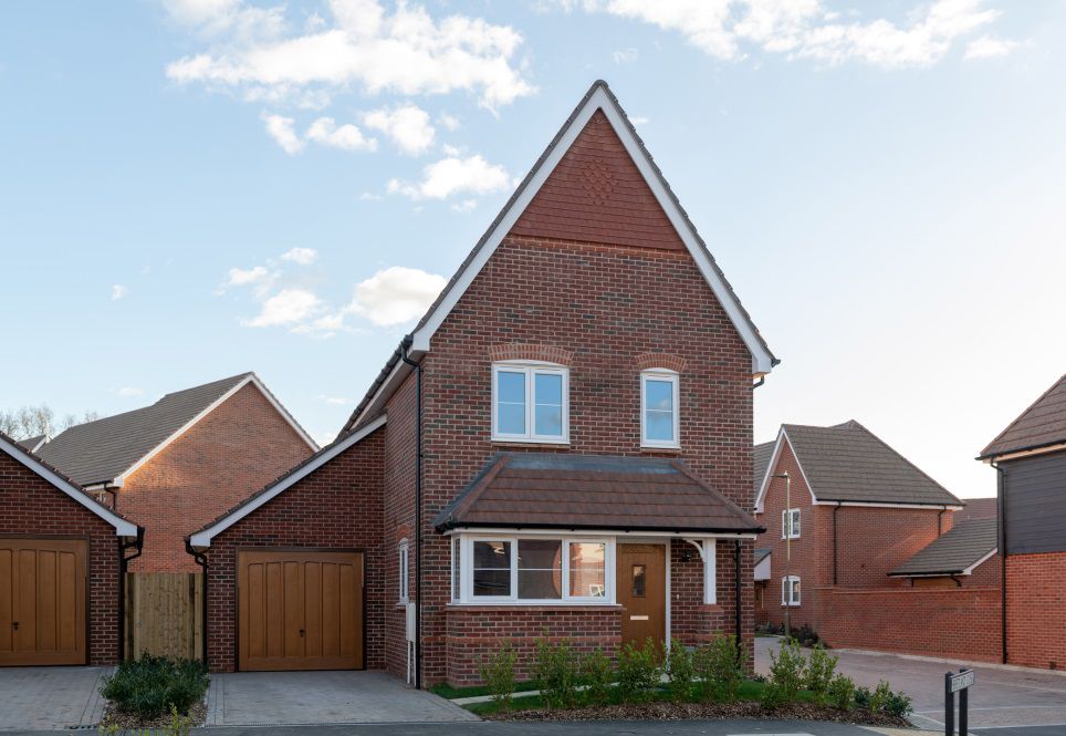 Plot98_Jan2019_009.jpg