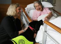 Royal tryinity hospice.jpg
