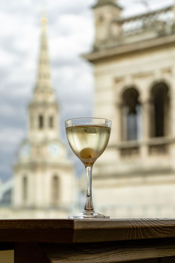 Salt and Vinegar Martini - The Portrait 3.jpg