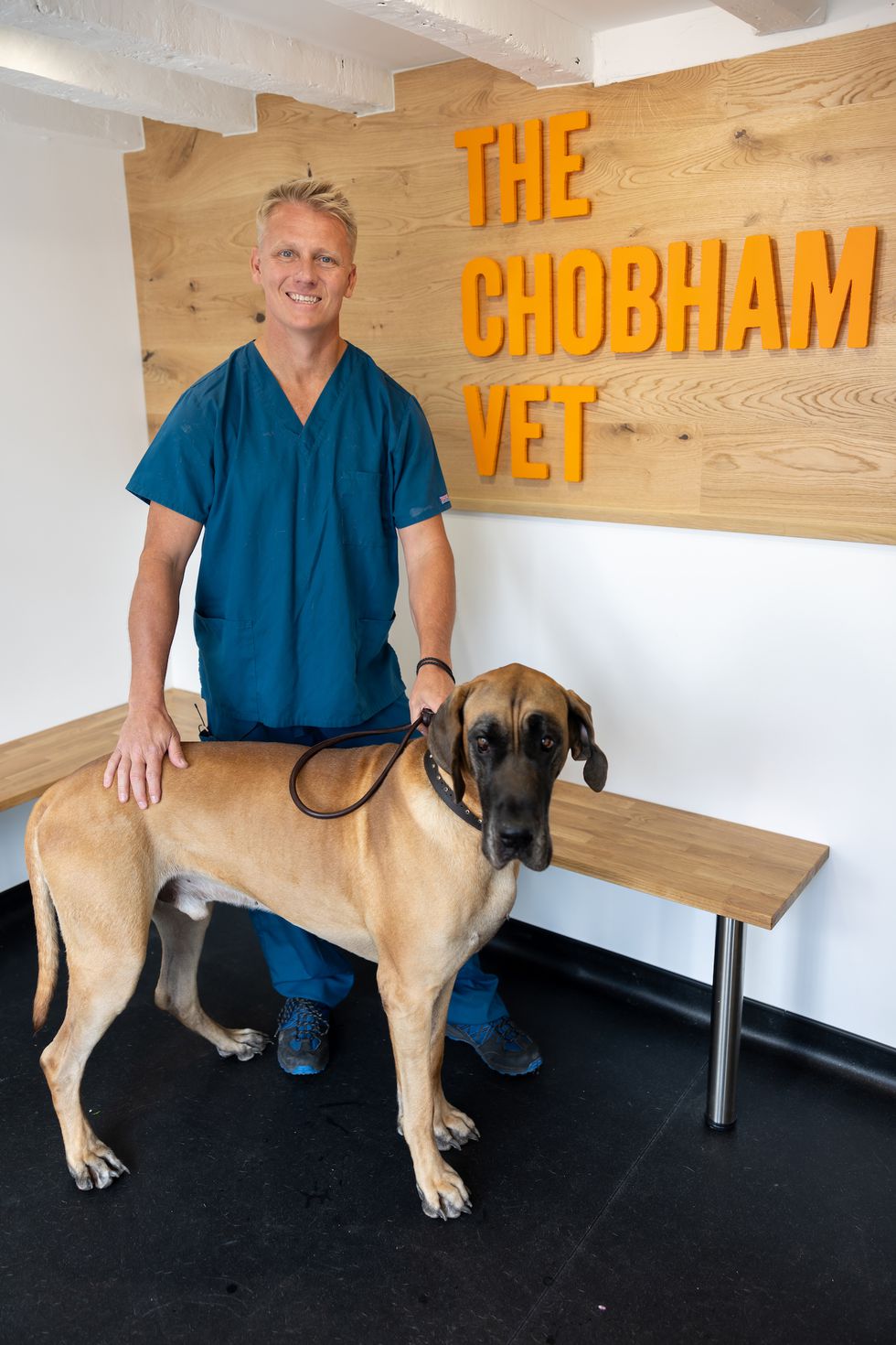 scott millar vet.jpg