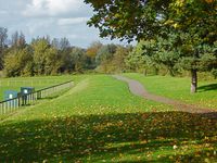 shalford park.jpg
