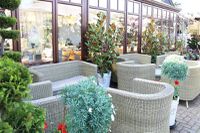 squires-cafe-bar.jpg