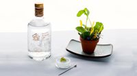 stovells-gin-surrey.jpg