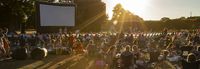 stubbings-nursery-summer-screenings.jpg