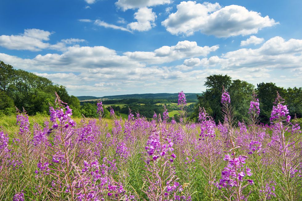 Stunning views from the new Meadow Way development.jpg