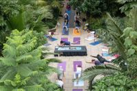 Temperate House yoga.jpg