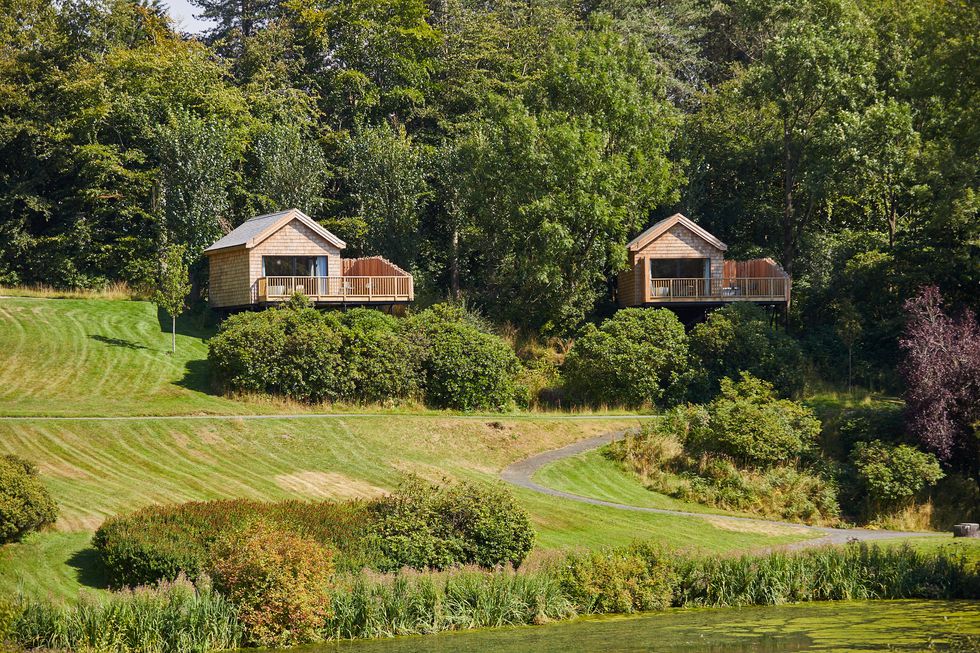 Treehouses.jpg
