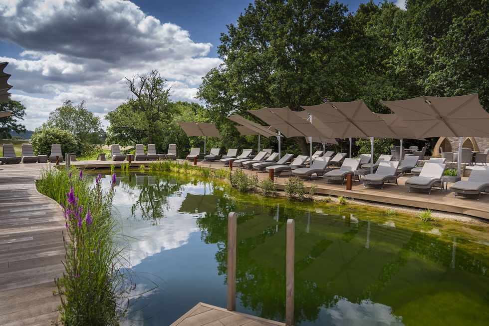 Wild pool at South Lodge.jpg
