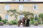 Wiltshire hotel.jpg
