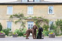 Wiltshire hotel.jpg