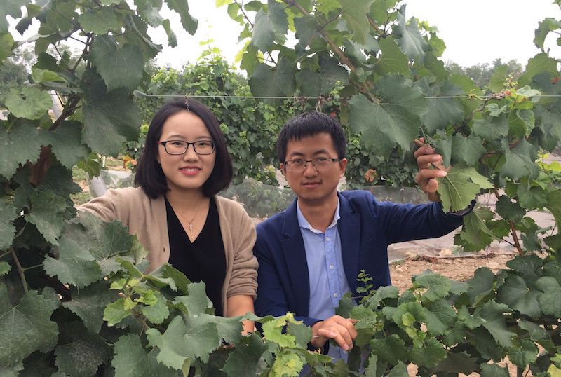 wine-couple-nlngxia-travel.JPG