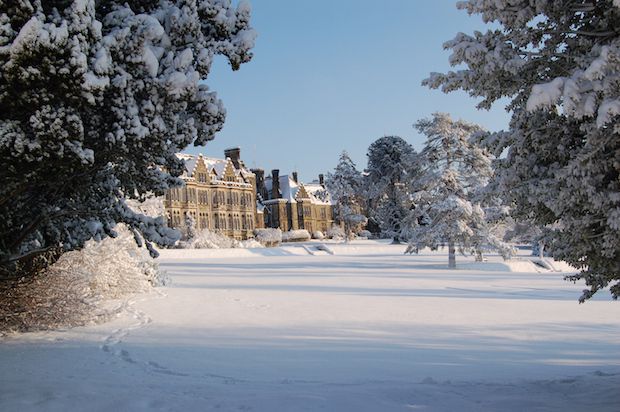 Winter at Ashdown Park copy.JPG