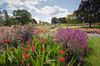 Wisley