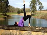 yoga orchid 1293-910x390.jpg