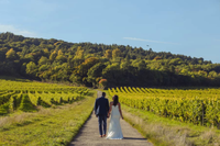 denbies-wine-estate-wedding-venue.png