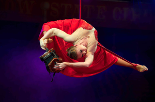 moscow state circus2.png